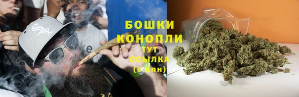 мяу мяу мука Козельск