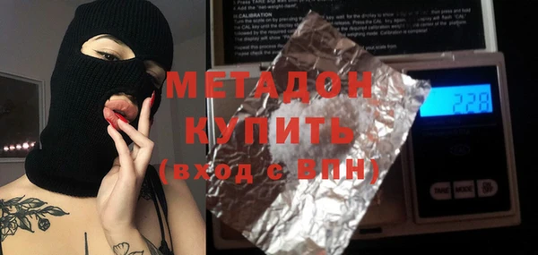 прущие грибы Корсаков