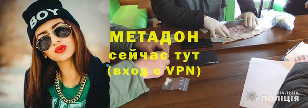 прущие грибы Корсаков