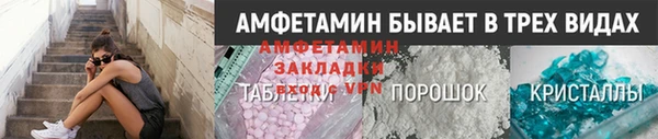 прущие грибы Корсаков