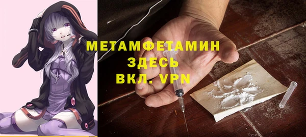 прущие грибы Корсаков