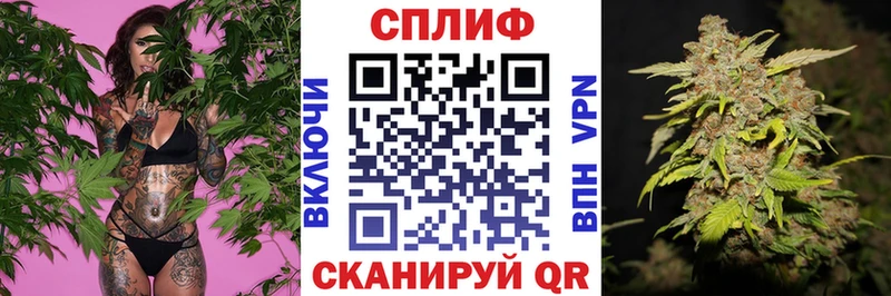 Каннабис Amnesia  Купить где  Чебоксары 